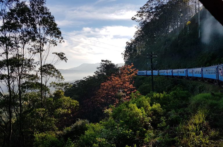Complete Sri Lanka Tour (8 Days)