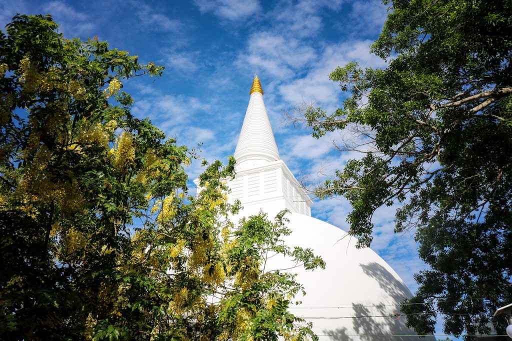 Complete Sri Lanka Tour (6 Days)